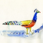 image15